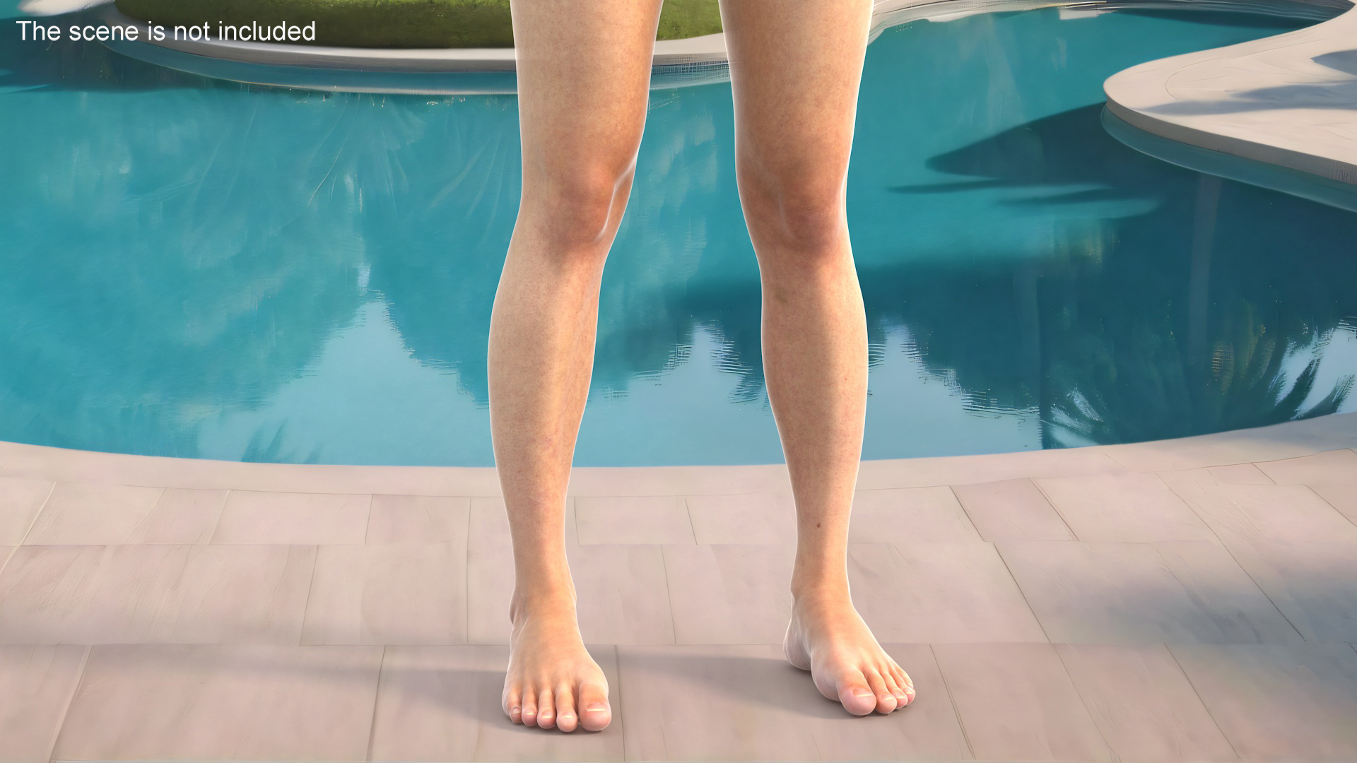 3D Female Legs