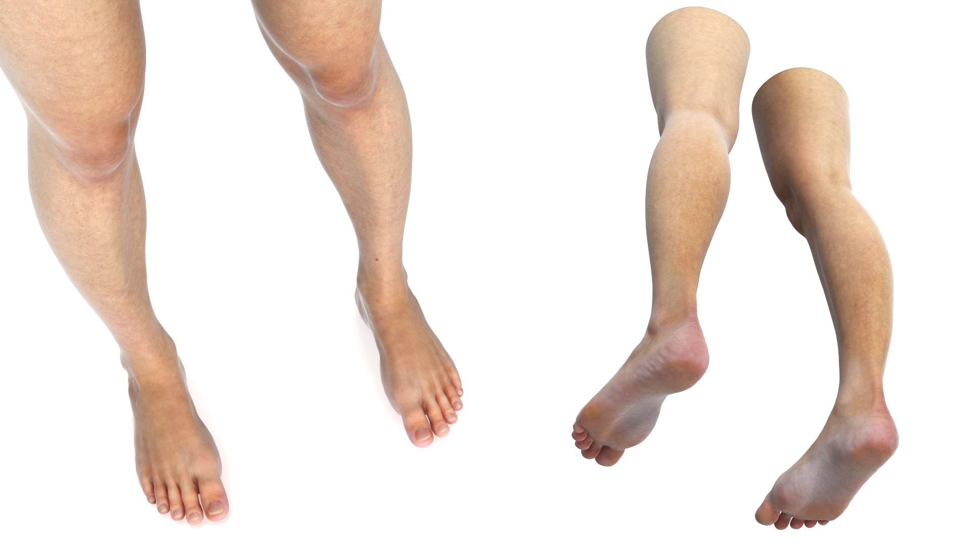 3D Female Legs