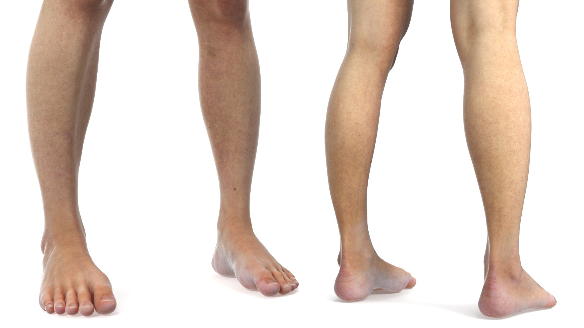 3D Female Legs