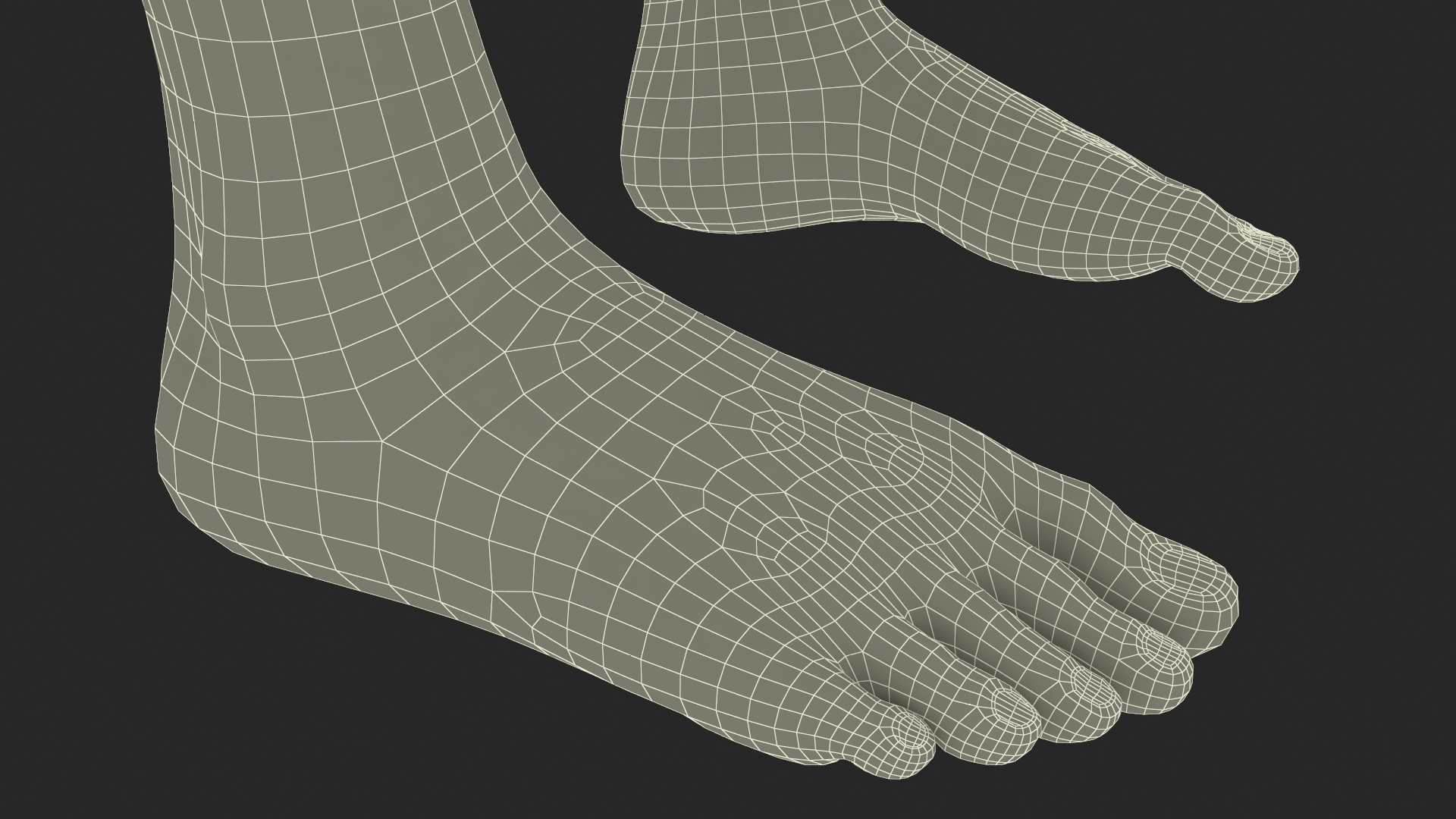 3D Female Legs