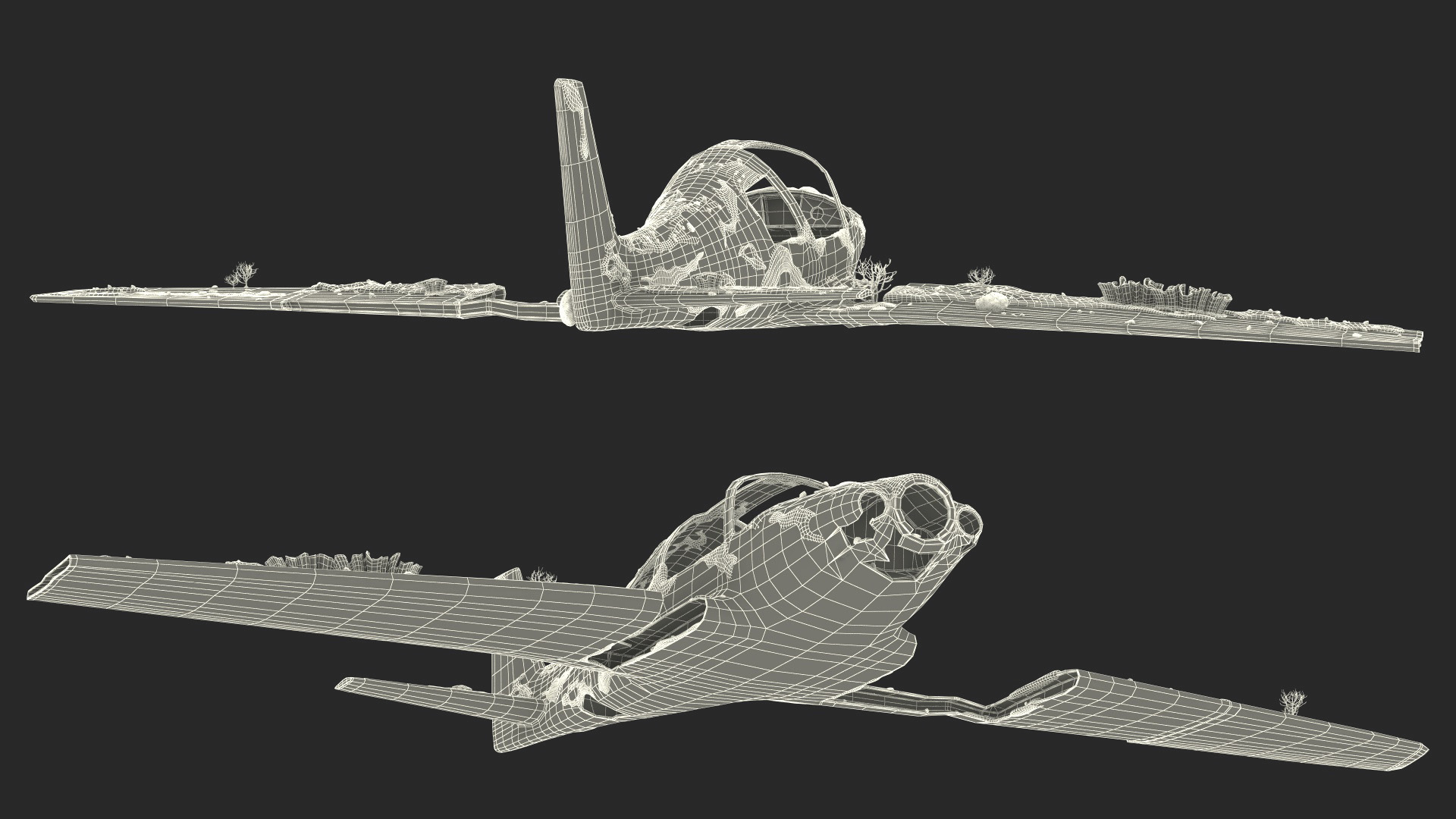 3D Airplane Wreckage from the Seabed model