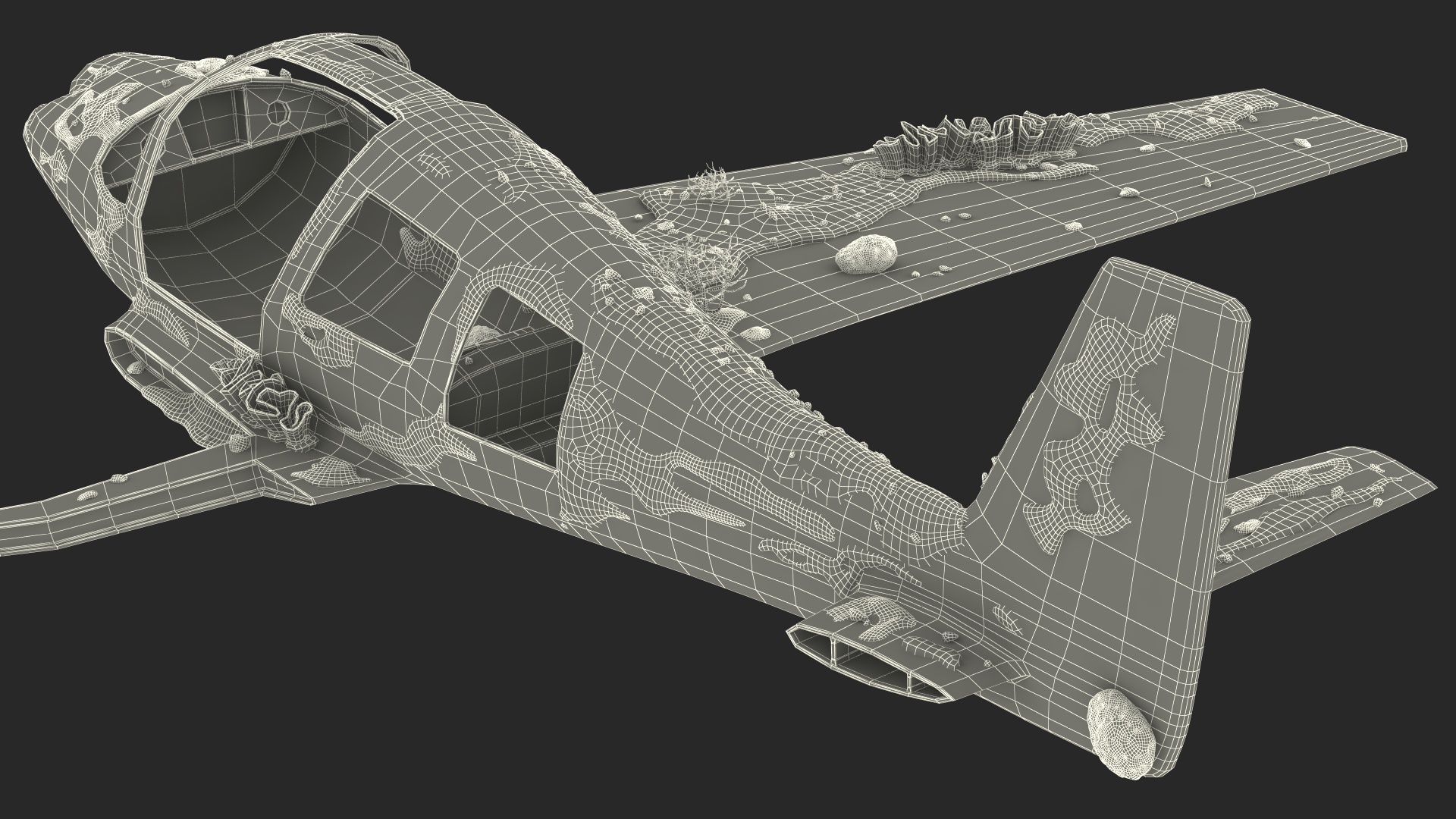 3D Airplane Wreckage from the Seabed model