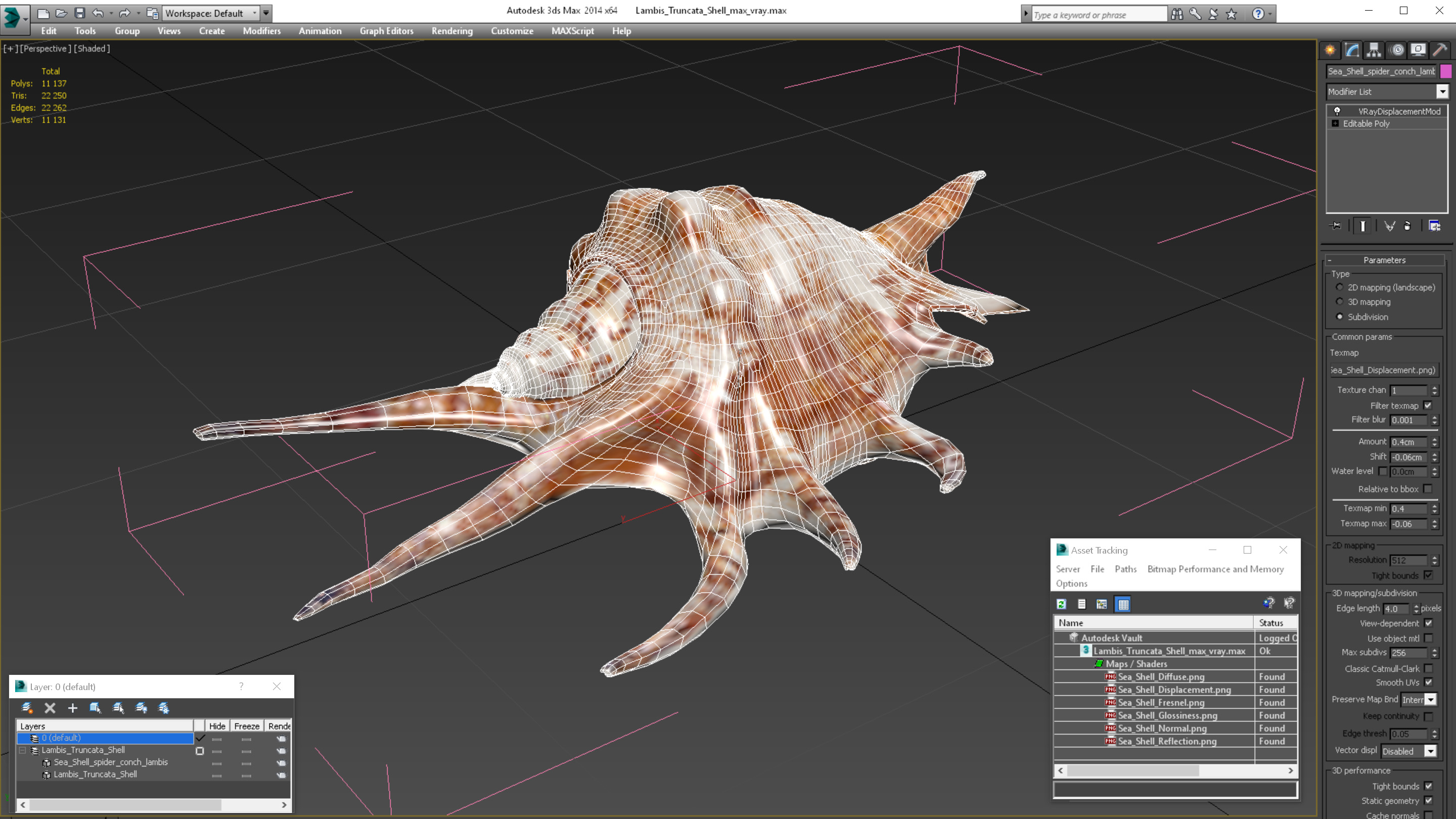 3D Lambis Truncata Shell
