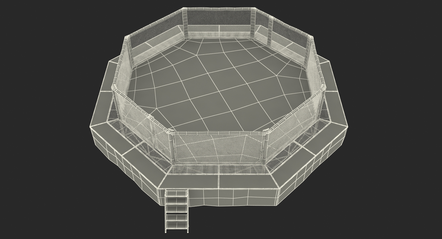 3D UFC Fighting Arena model