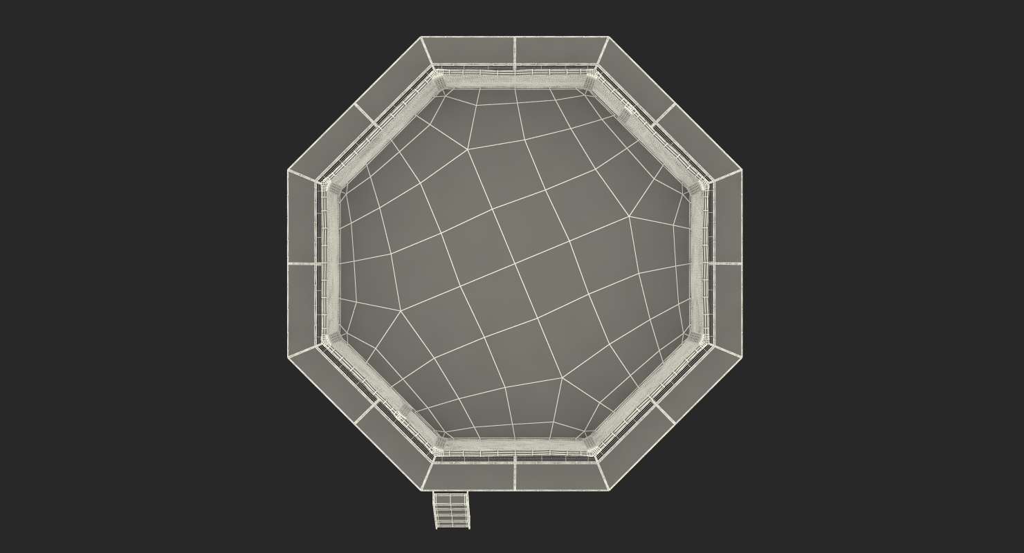 3D UFC Fighting Arena model