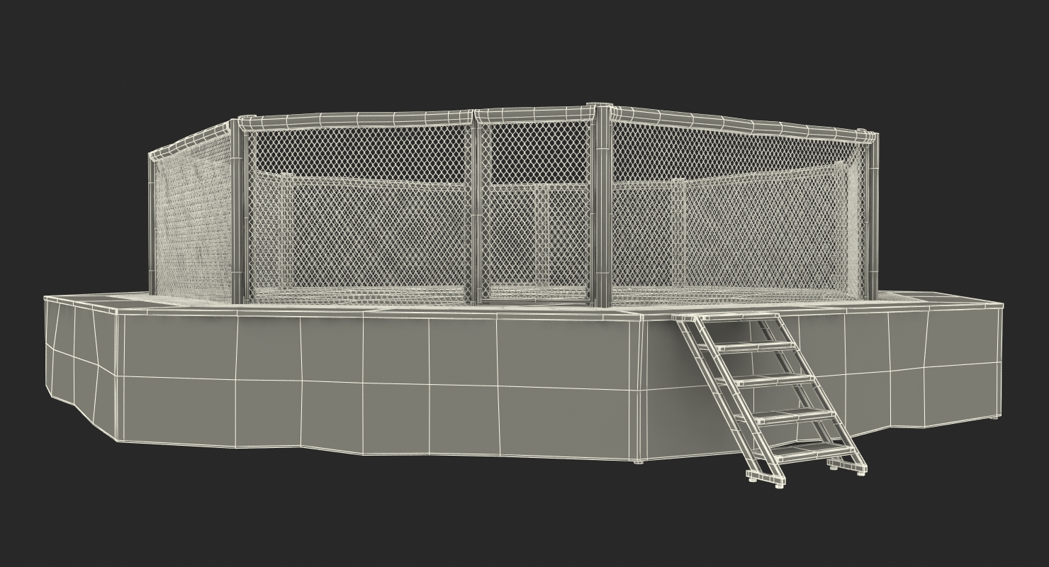 3D UFC Fighting Arena model