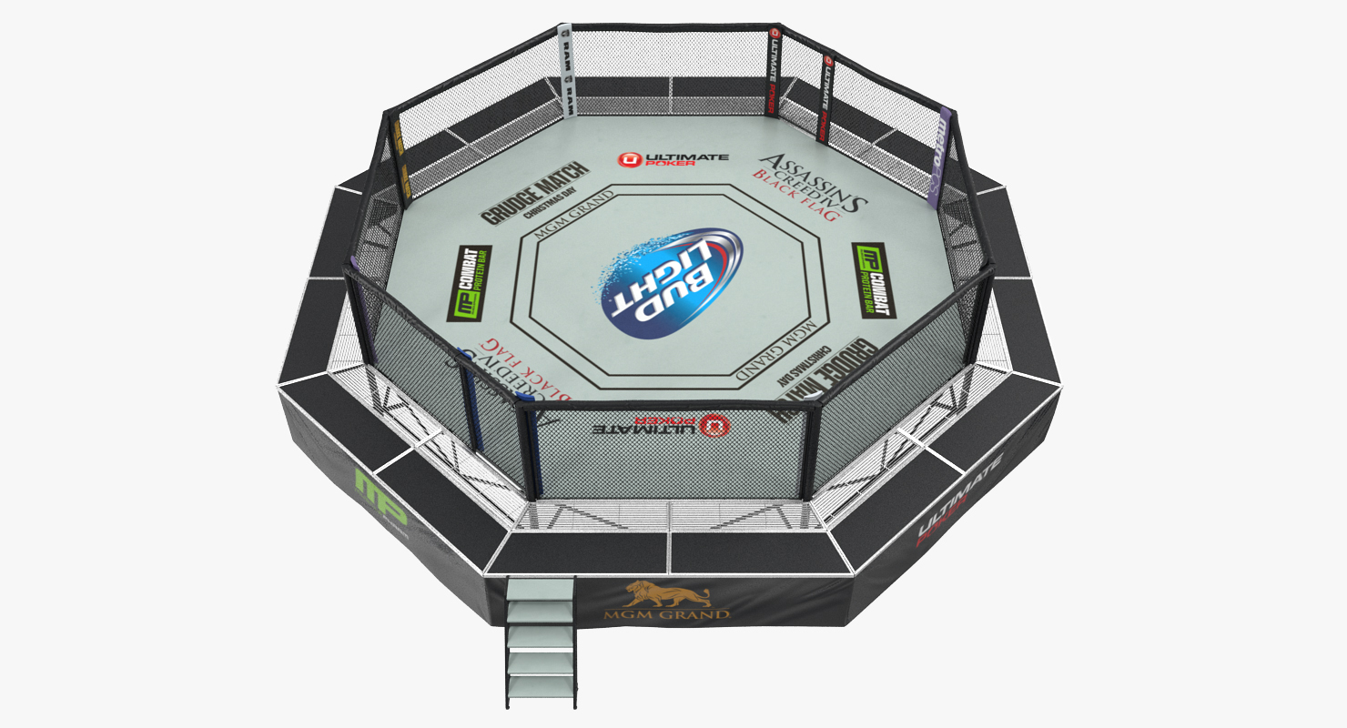 3D UFC Fighting Arena model