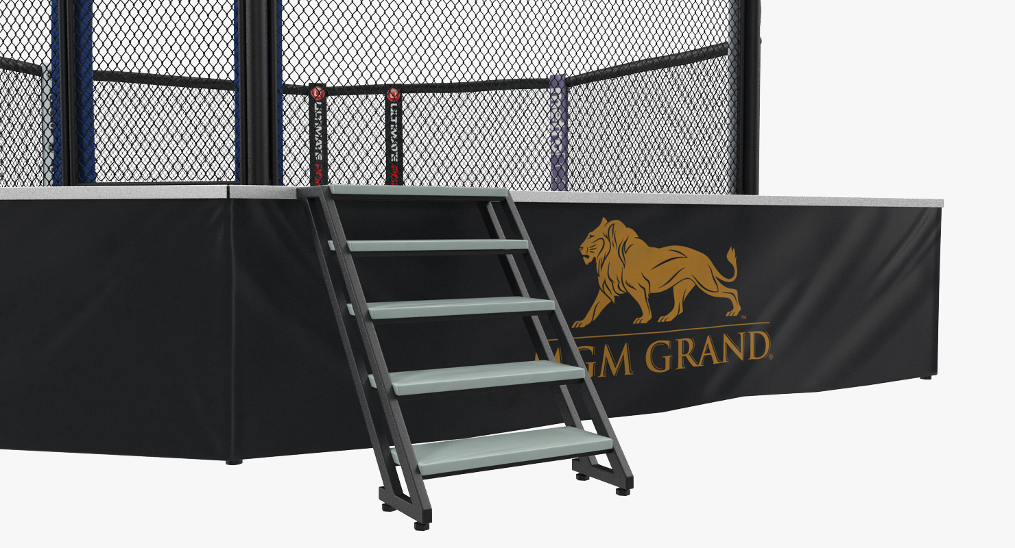 3D UFC Fighting Arena model