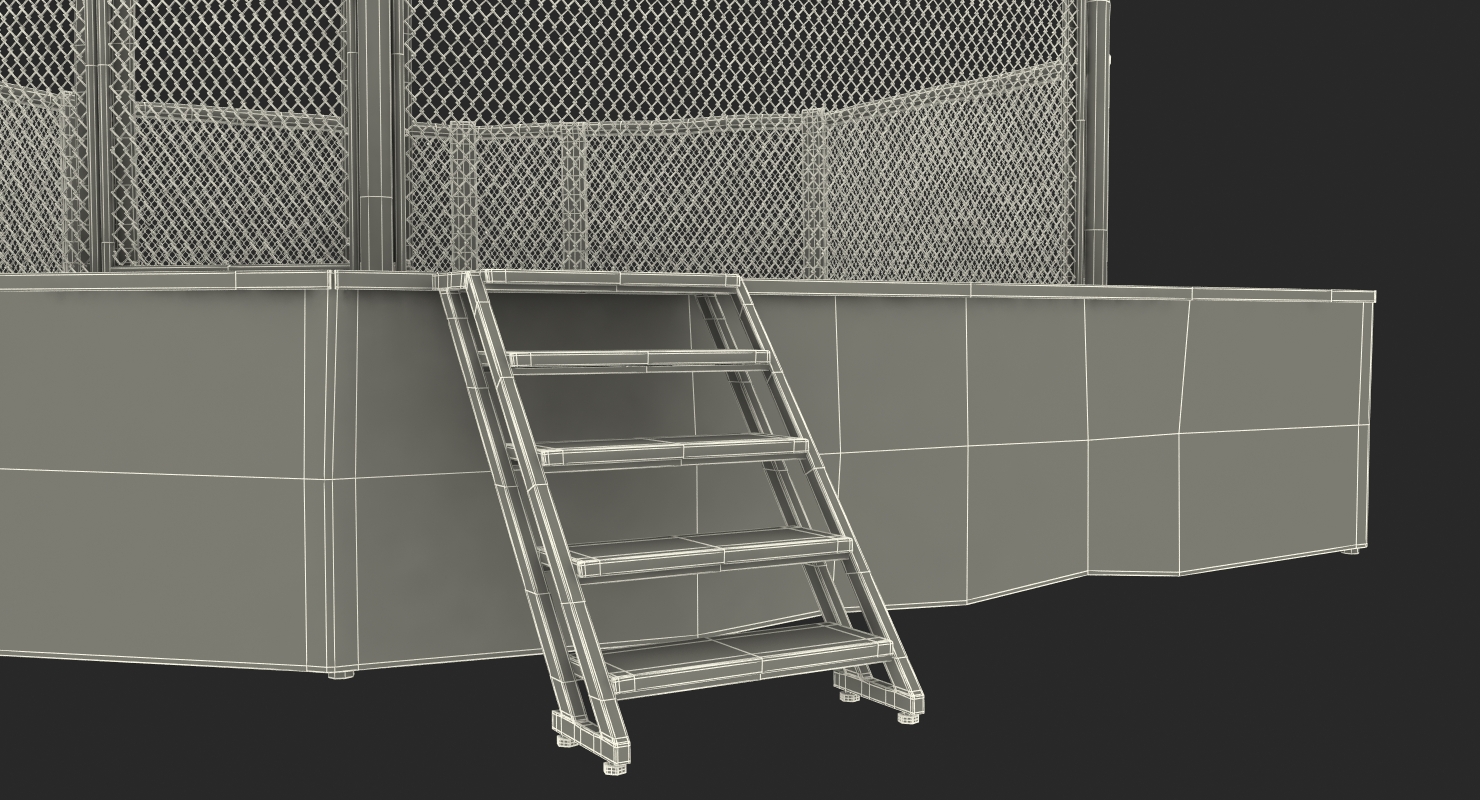 3D UFC Fighting Arena model