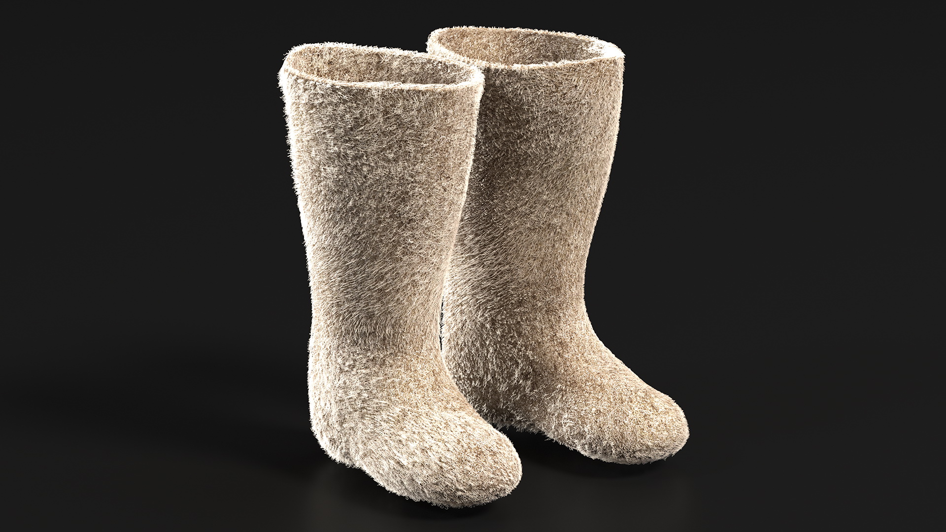 3D Traditional Winter Felt Boots Fur model