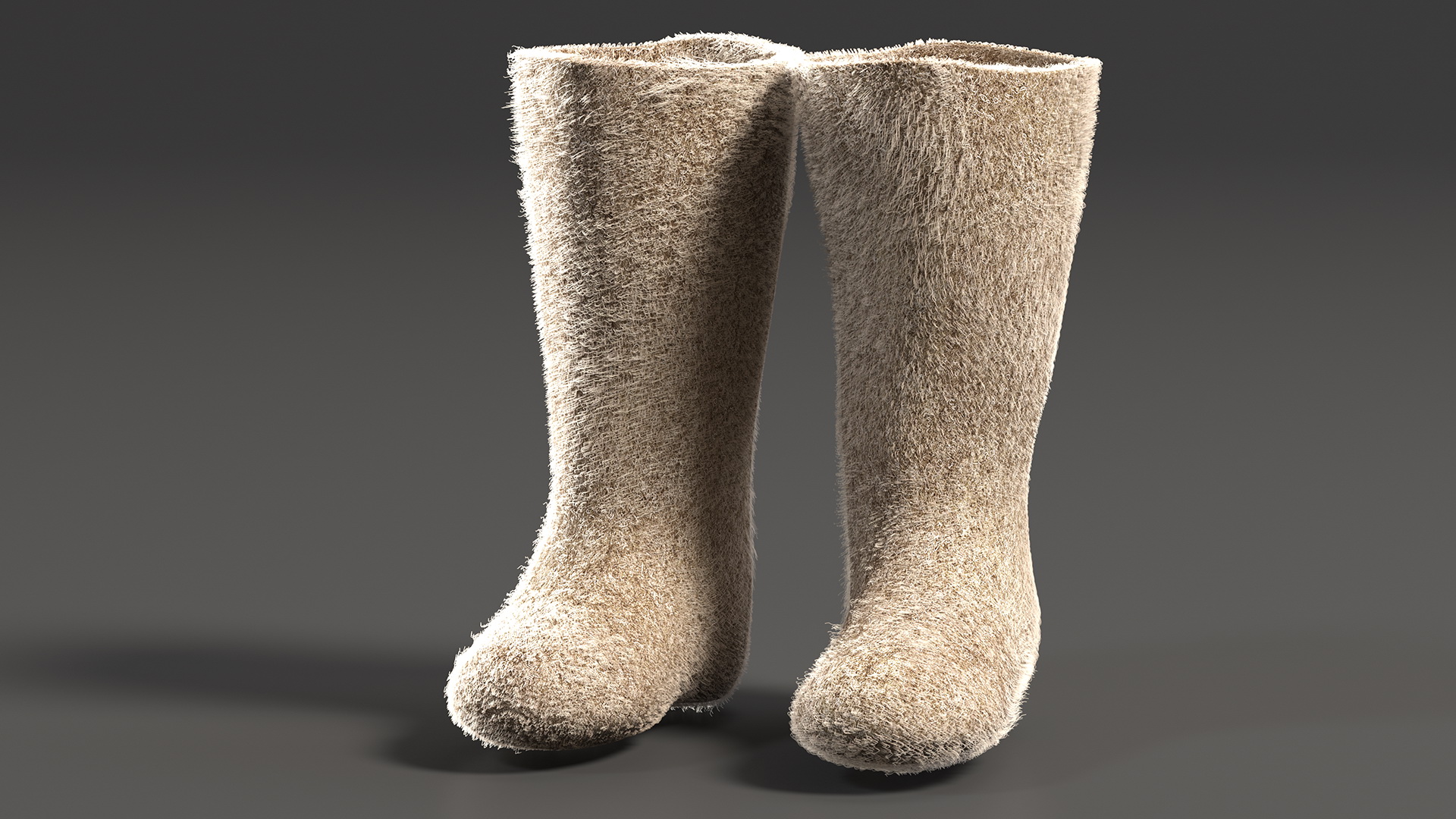 3D Traditional Winter Felt Boots Fur model