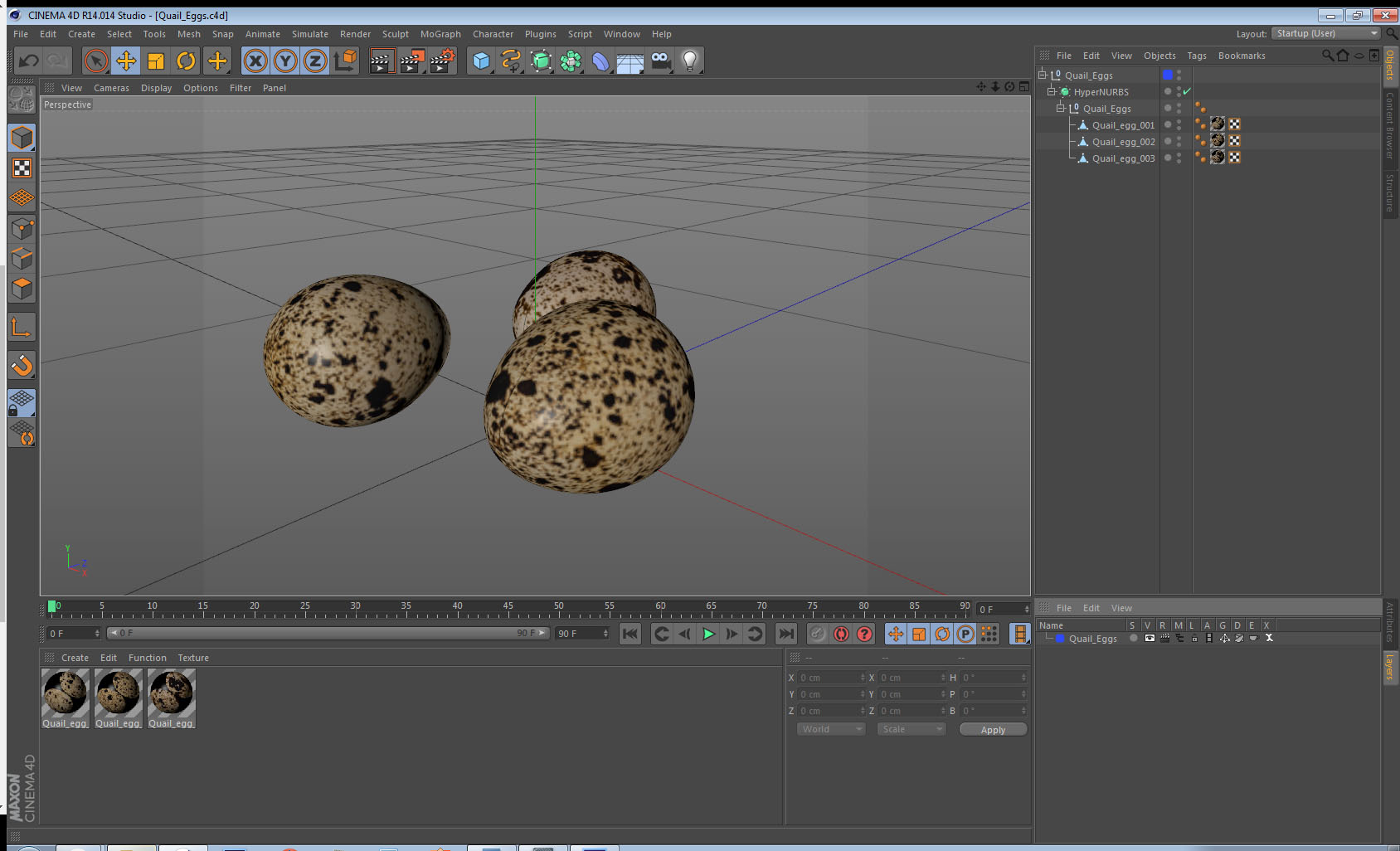 3D model Quail Eggs