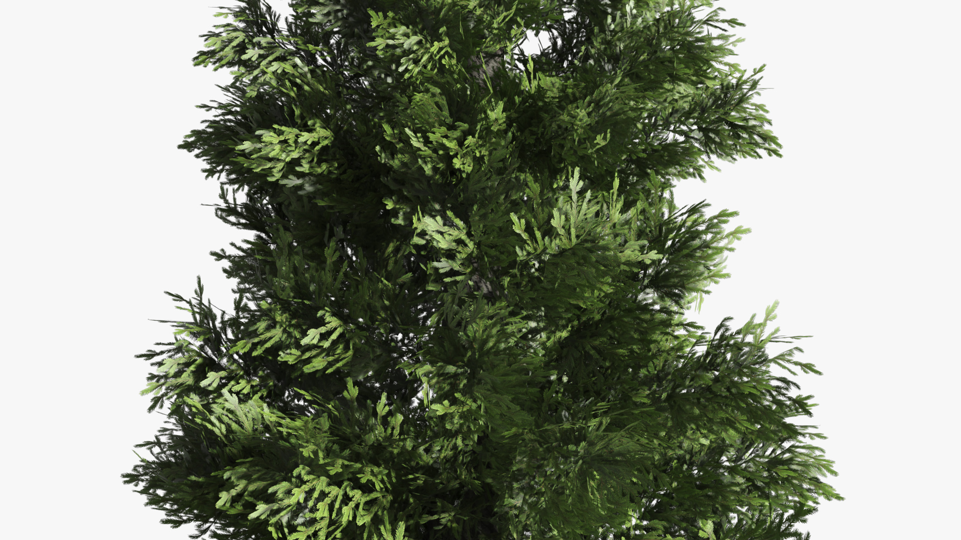 LowPoly Spruce Trees Set Dark Green - view 8