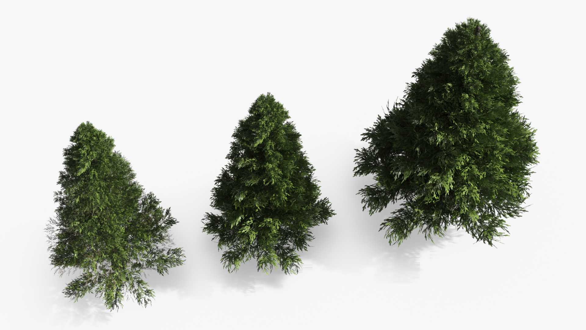 LowPoly Spruce Trees Set Dark Green - view 4