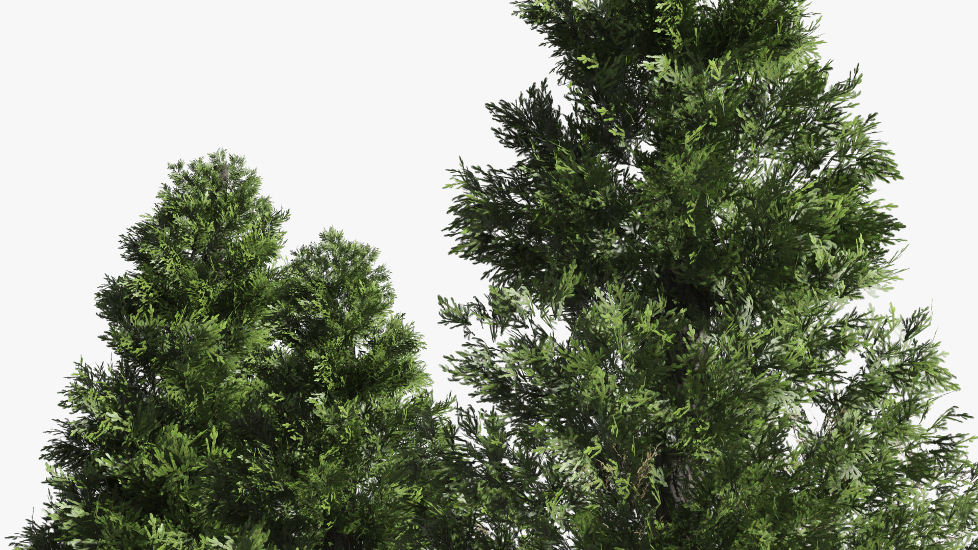 LowPoly Spruce Trees Set Dark Green - view 5