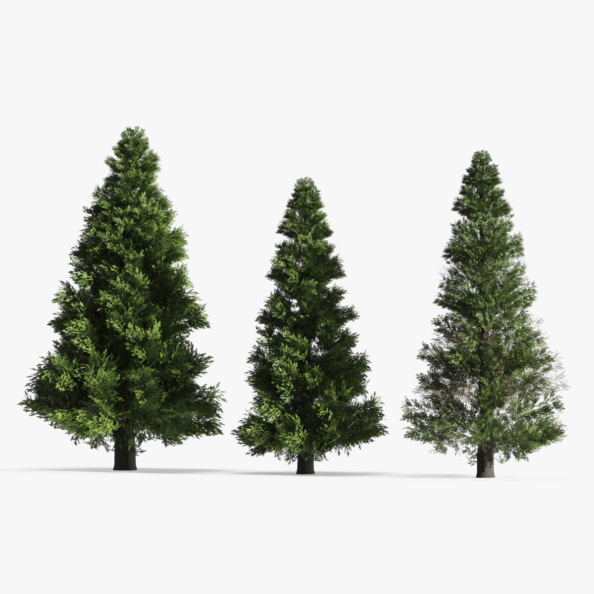 LowPoly Spruce Trees Set Dark Green 3D model preview