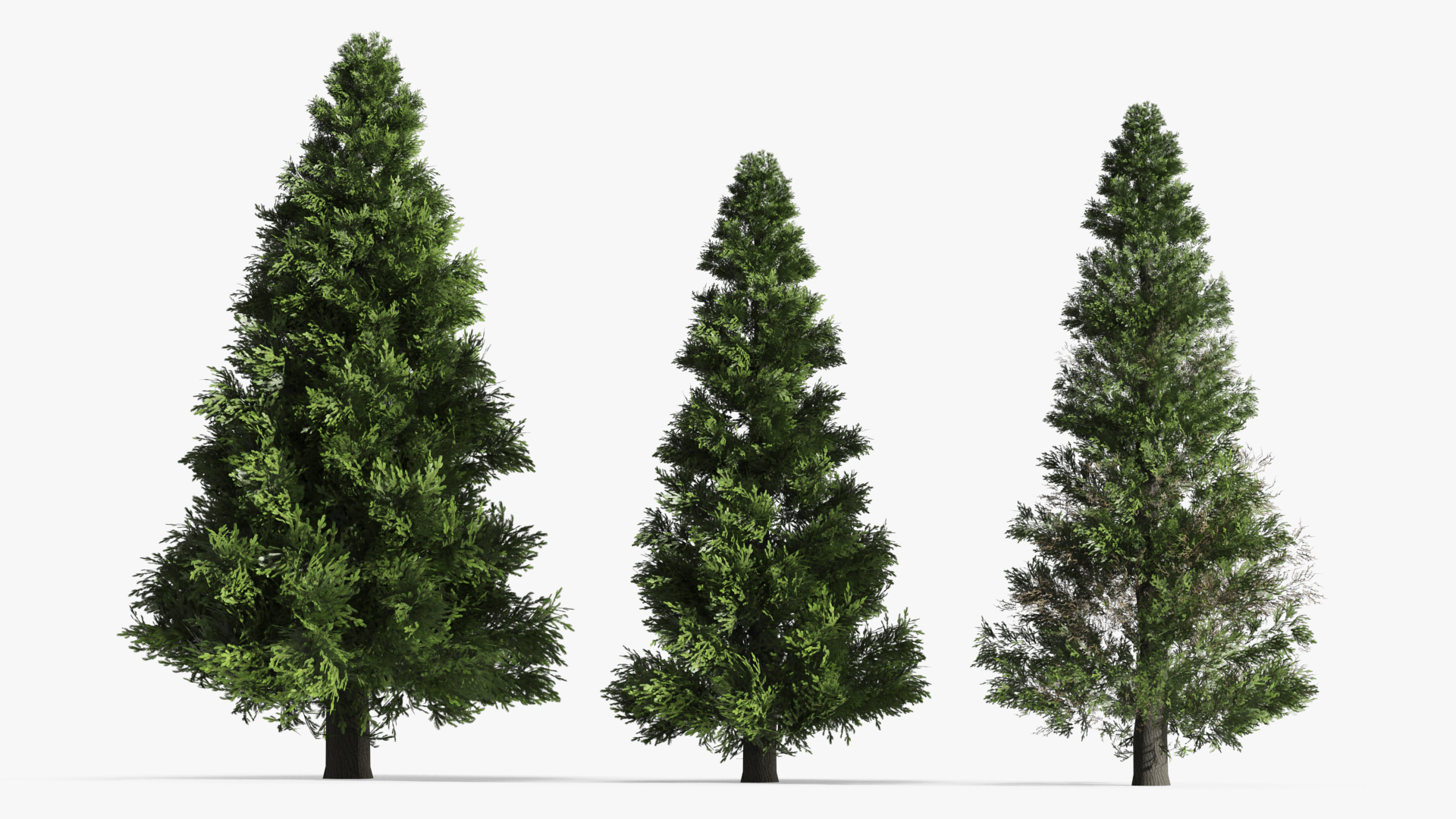 LowPoly Spruce Trees Set Dark Green - view 2