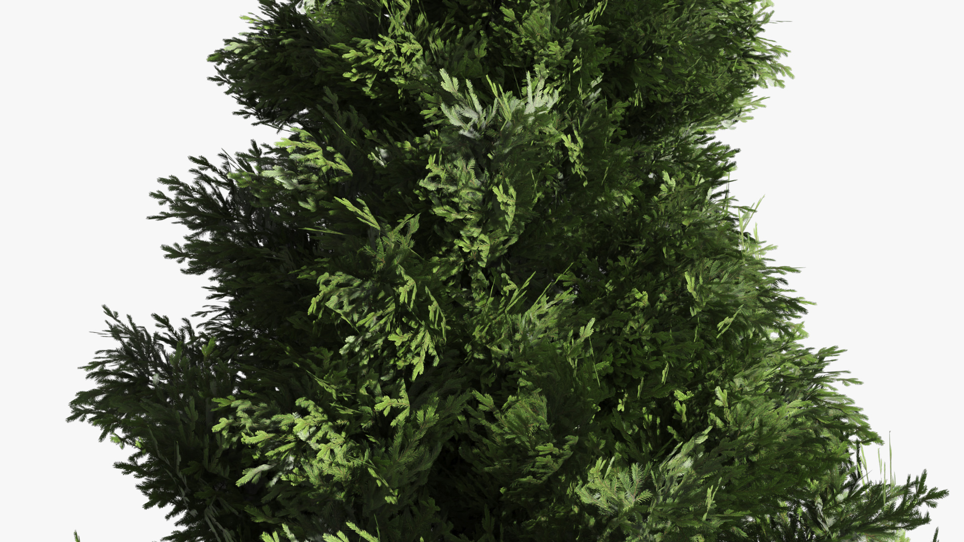 LowPoly Spruce Trees Set Dark Green - view 6