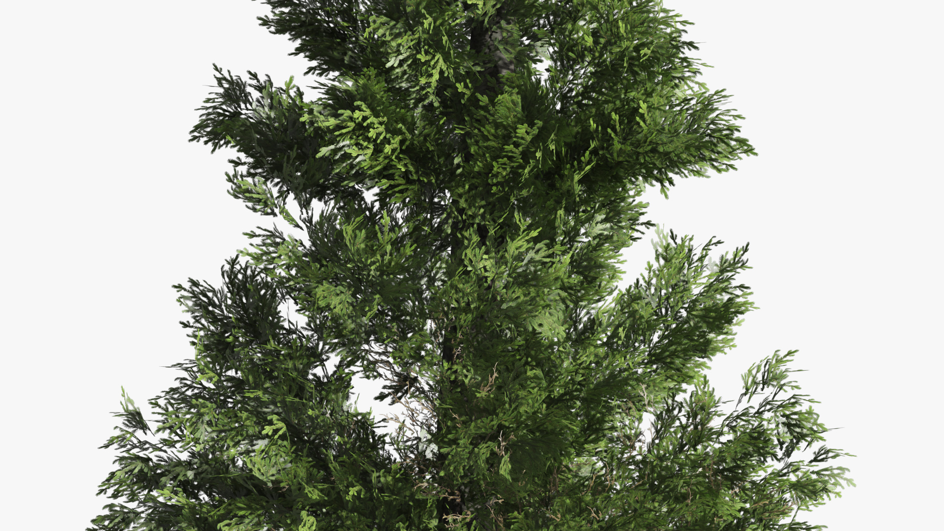 LowPoly Spruce Trees Set Dark Green - view 7