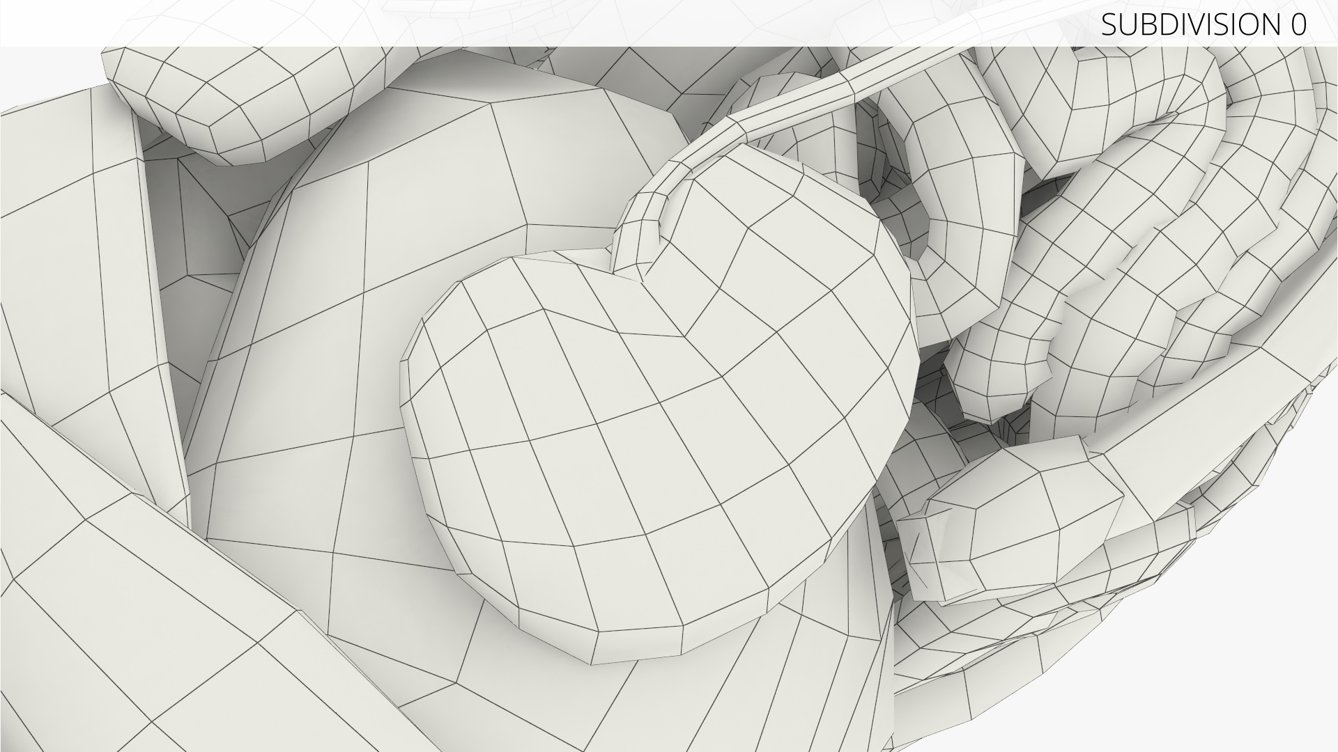 Cat Internal Organs Anatomy Structure, view 12