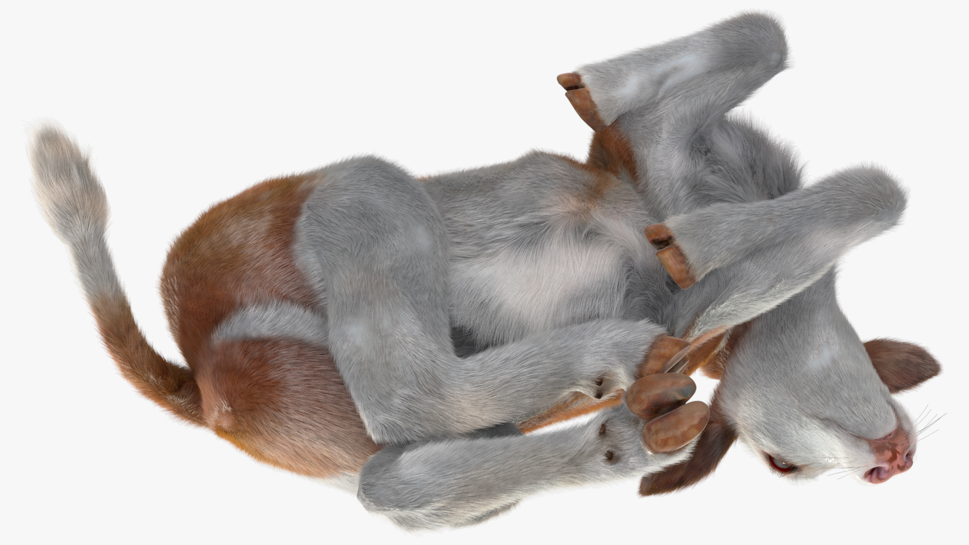 3D Cow Calf in Lying Pose Fur