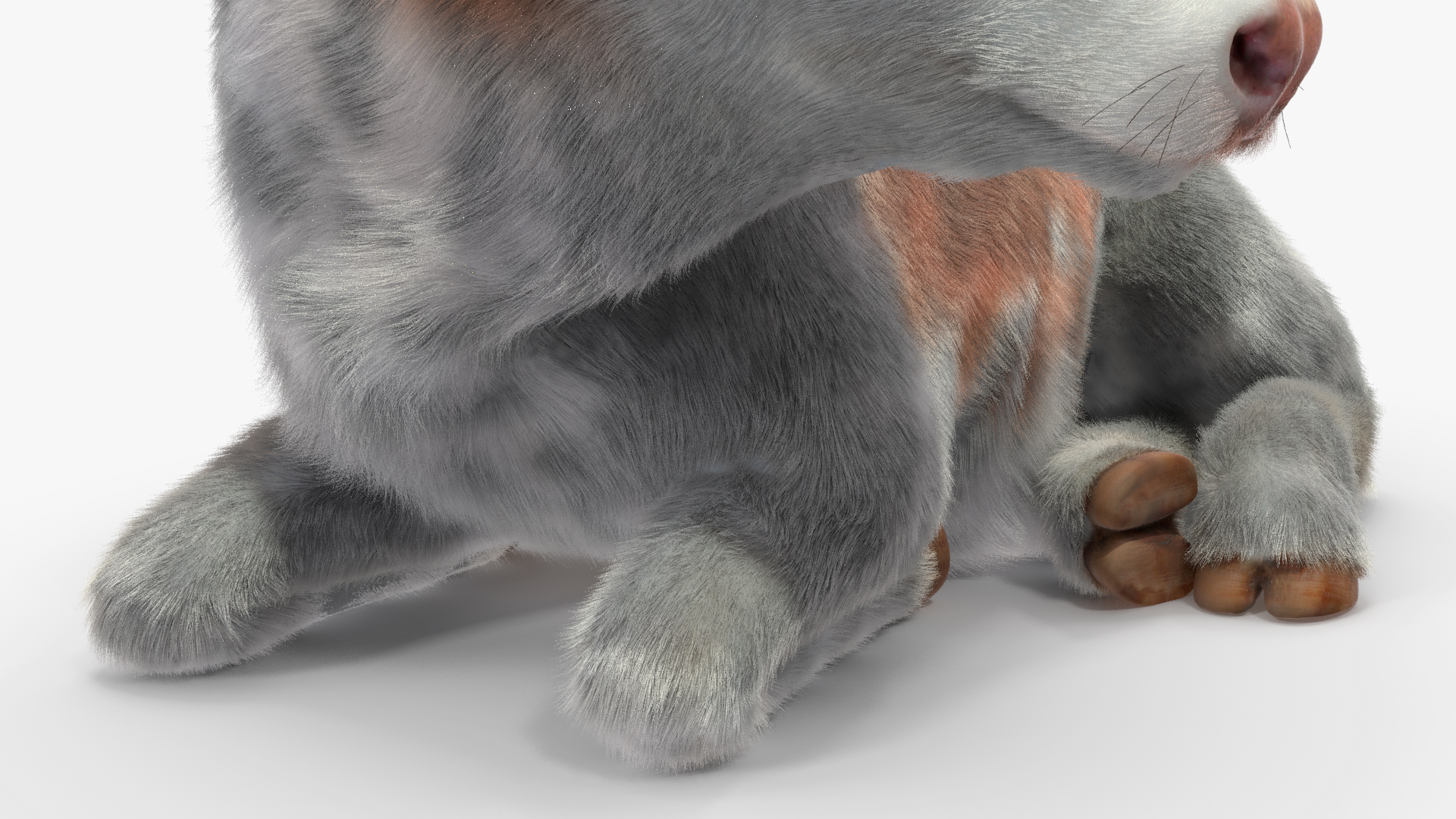 3D Cow Calf in Lying Pose Fur