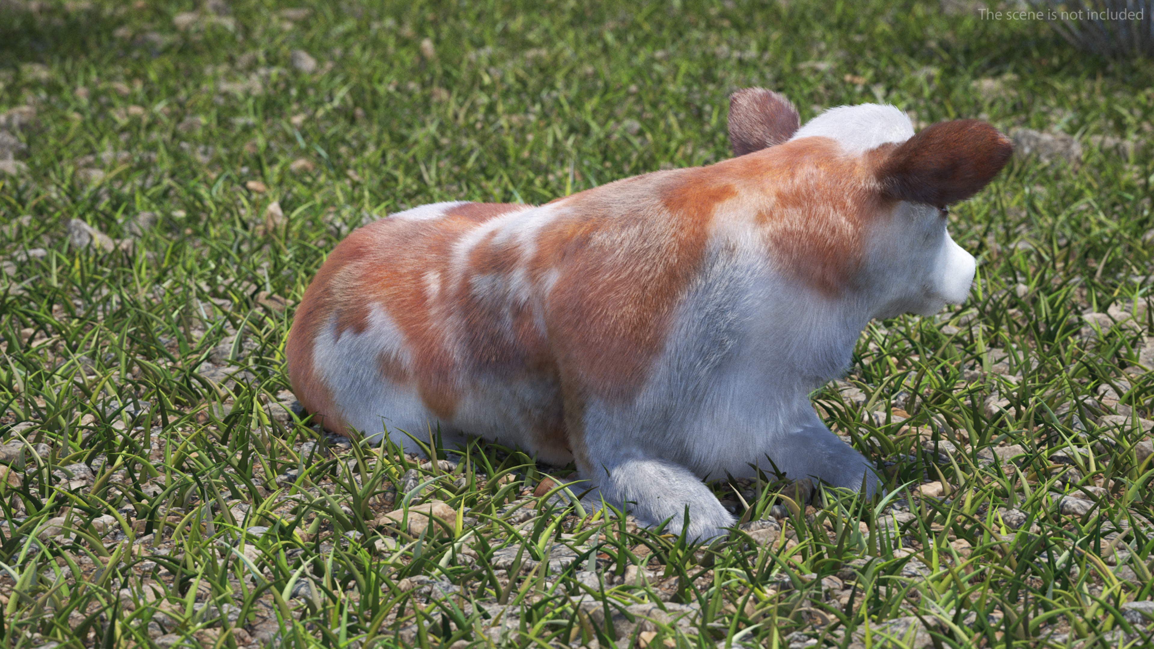 3D Cow Calf in Lying Pose Fur