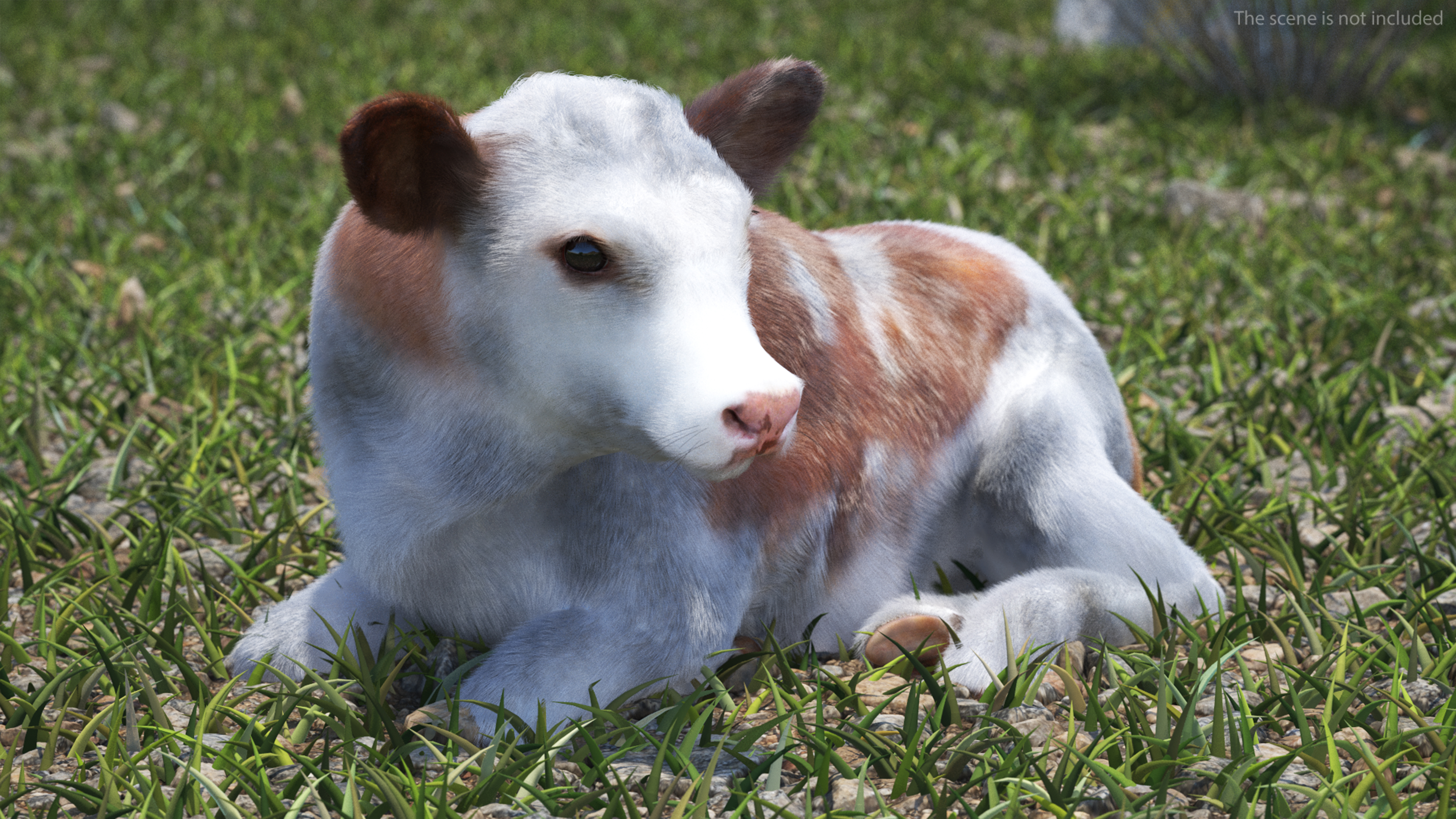 3D Cow Calf in Lying Pose Fur