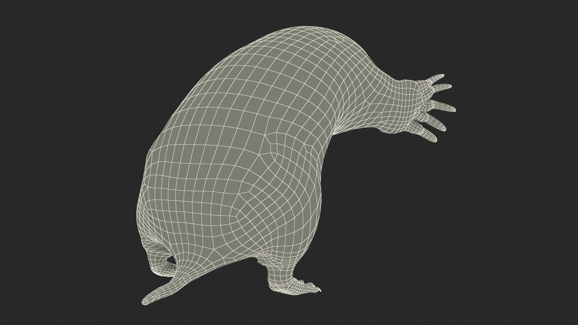 3D Mole Animal