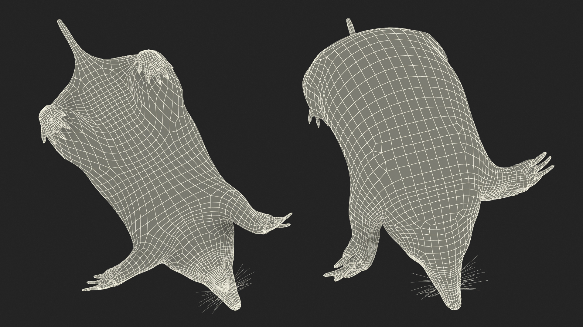 3D Mole Animal