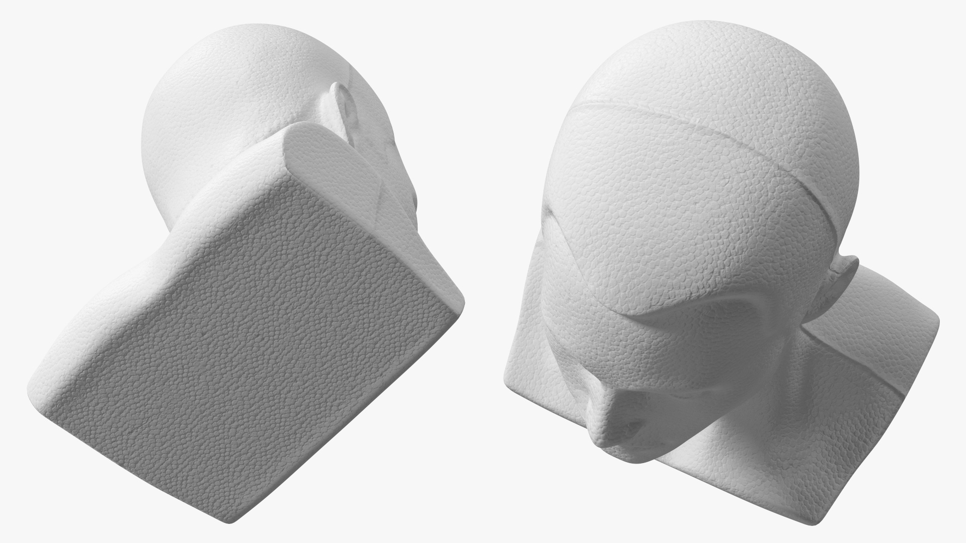 Styrofoam Male Mannequin Head with Hair 3D model