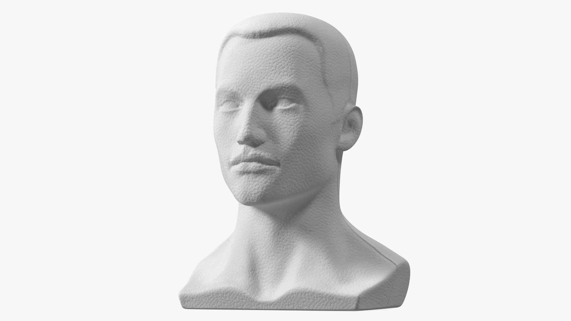 Styrofoam Male Mannequin Head with Hair 3D model