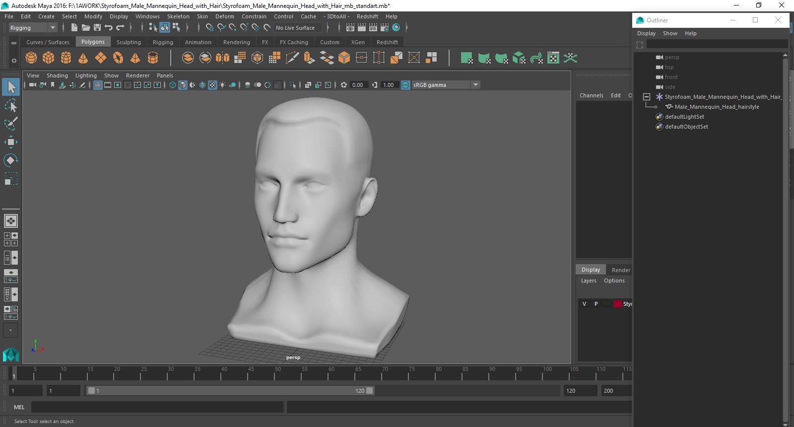 Styrofoam Male Mannequin Head with Hair 3D model