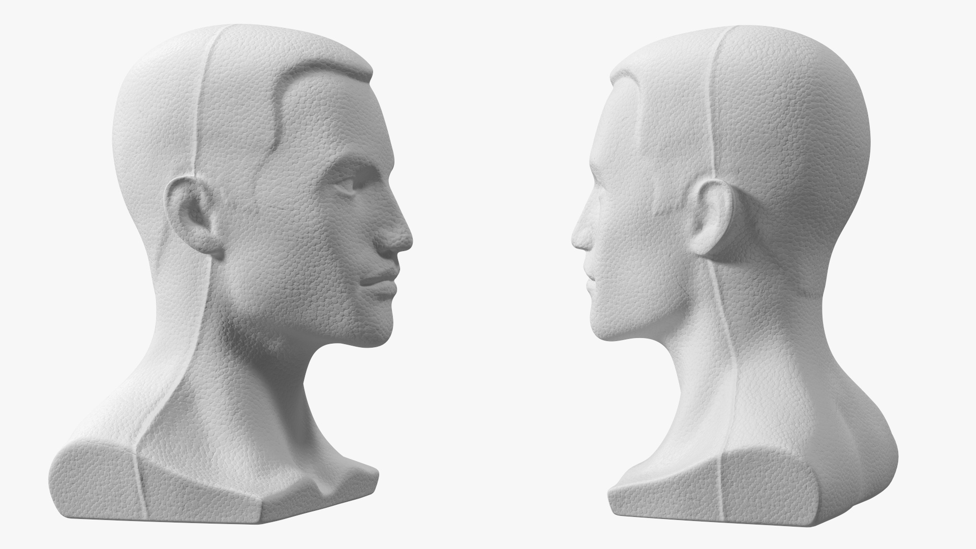Styrofoam Male Mannequin Head with Hair 3D model