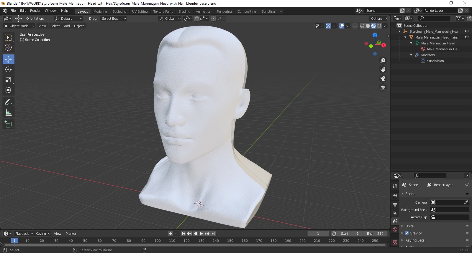 Styrofoam Male Mannequin Head with Hair 3D model