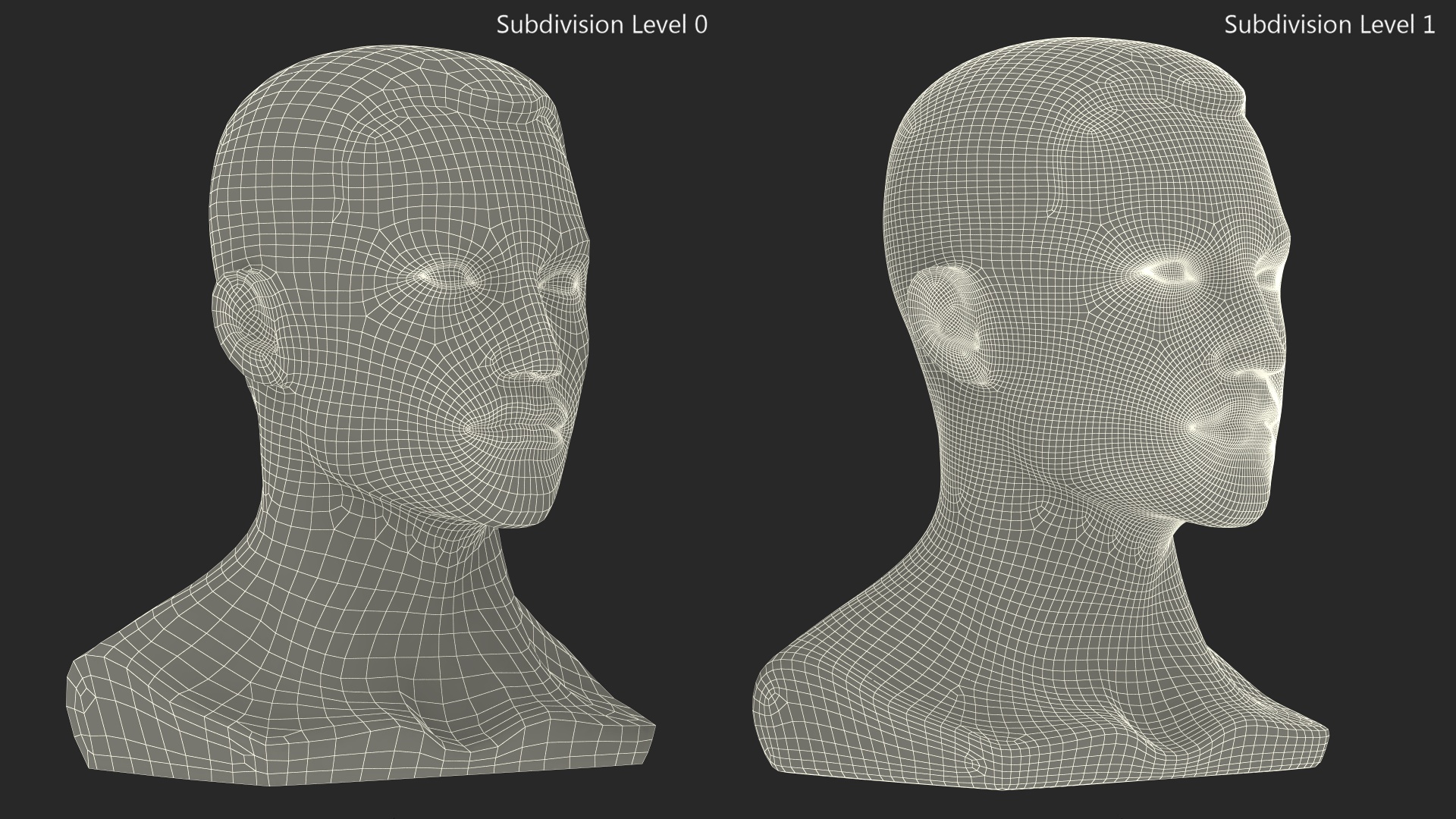 Styrofoam Male Mannequin Head with Hair 3D model