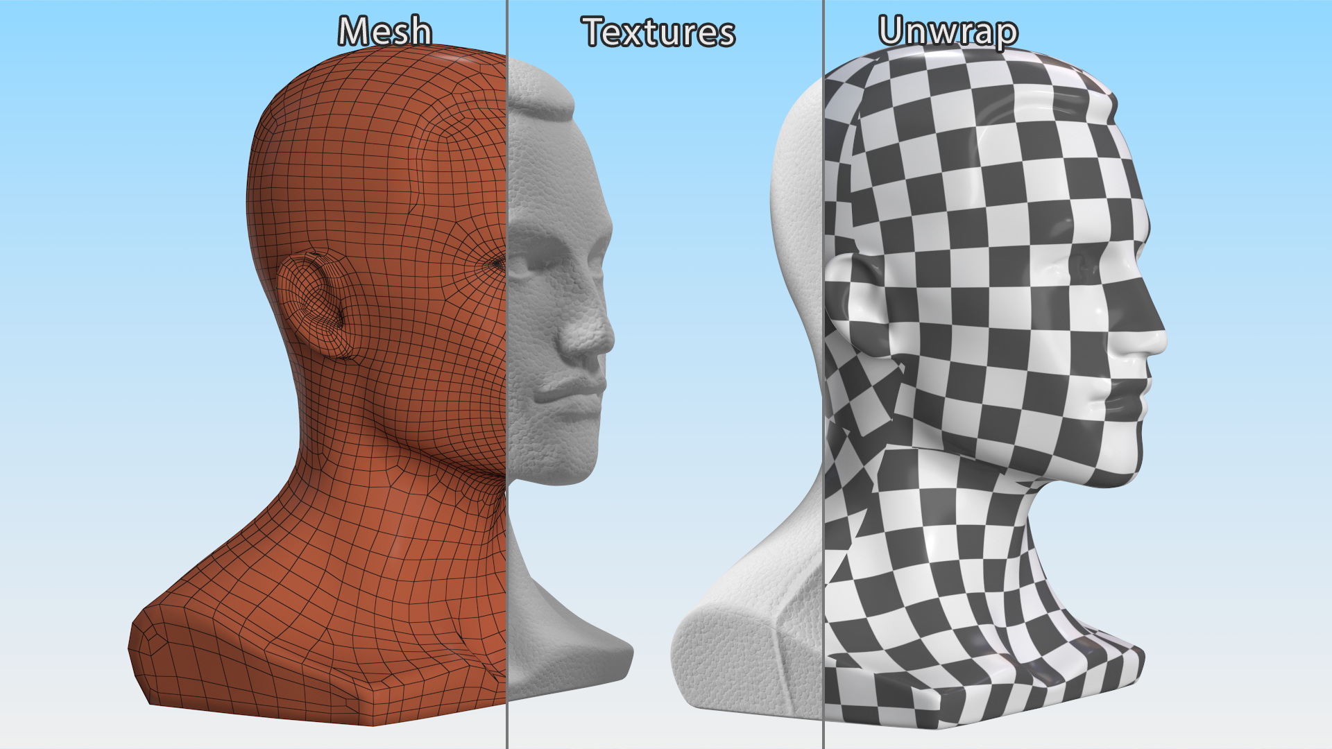 Styrofoam Male Mannequin Head with Hair 3D model