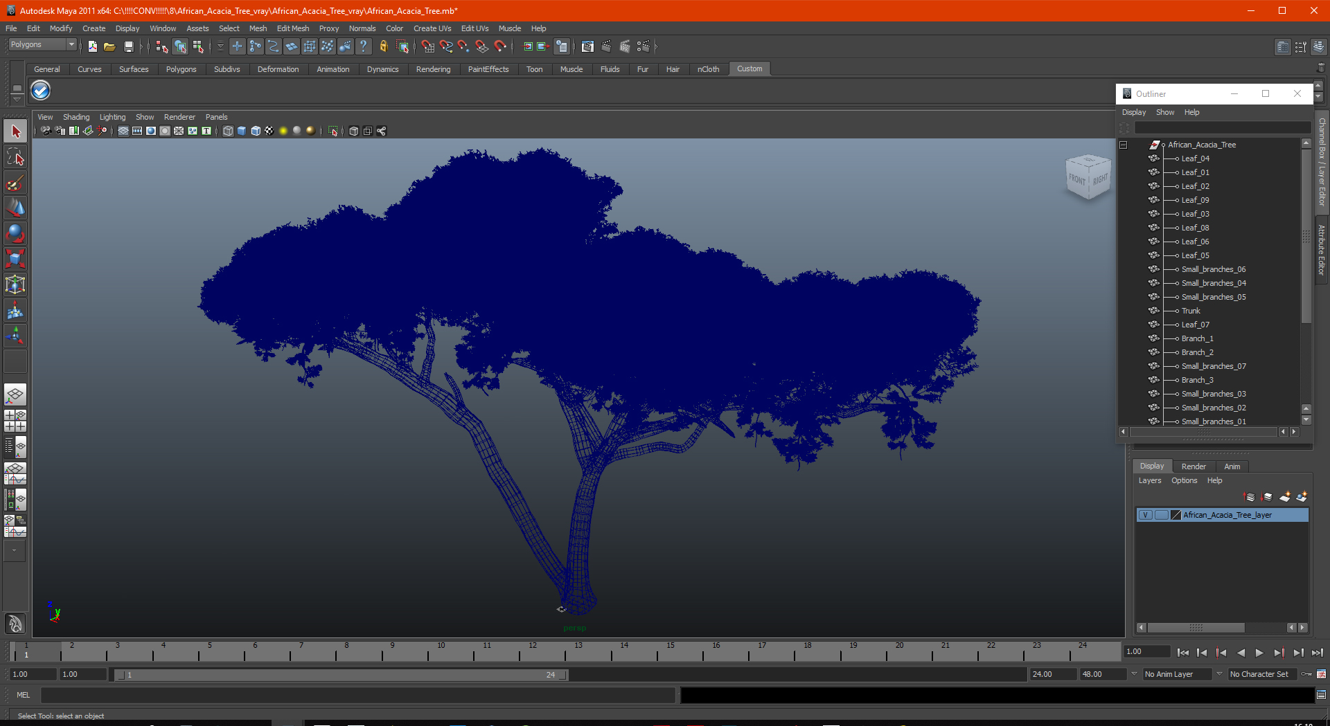 African Acacia Tree 3D model