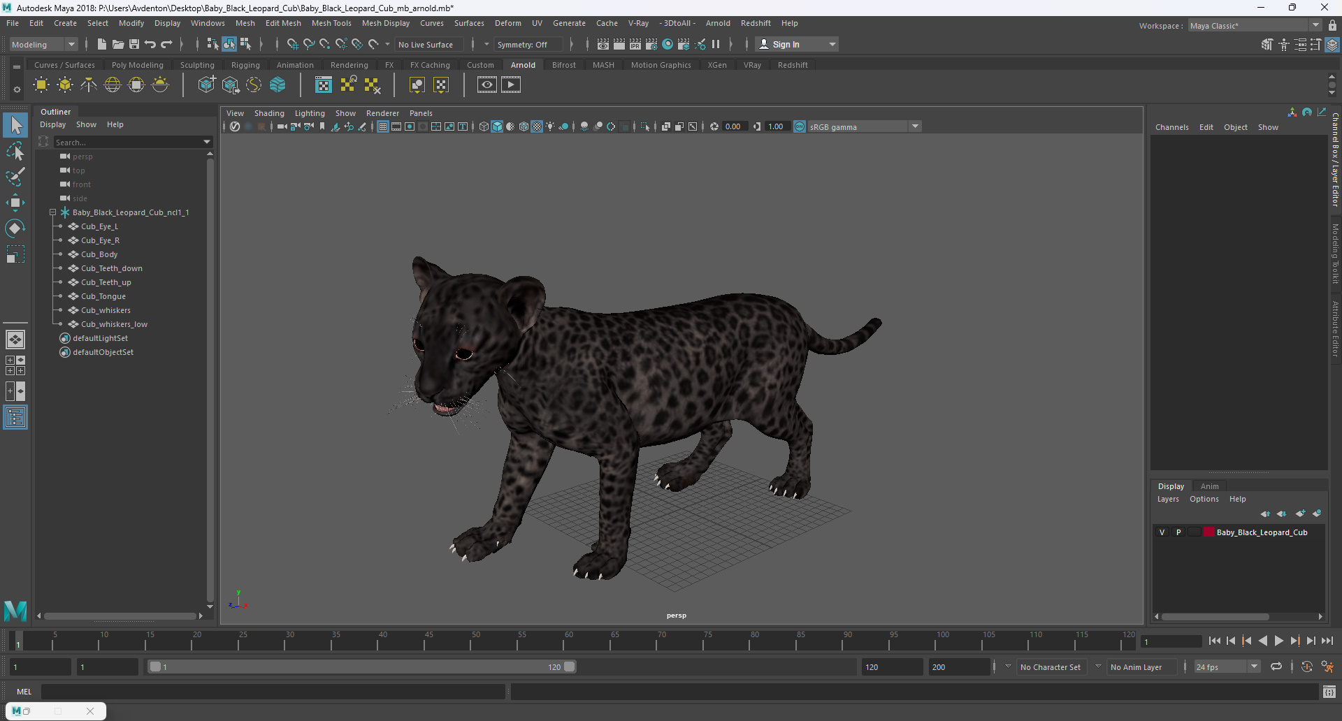 Baby Black Leopard Cub 3D