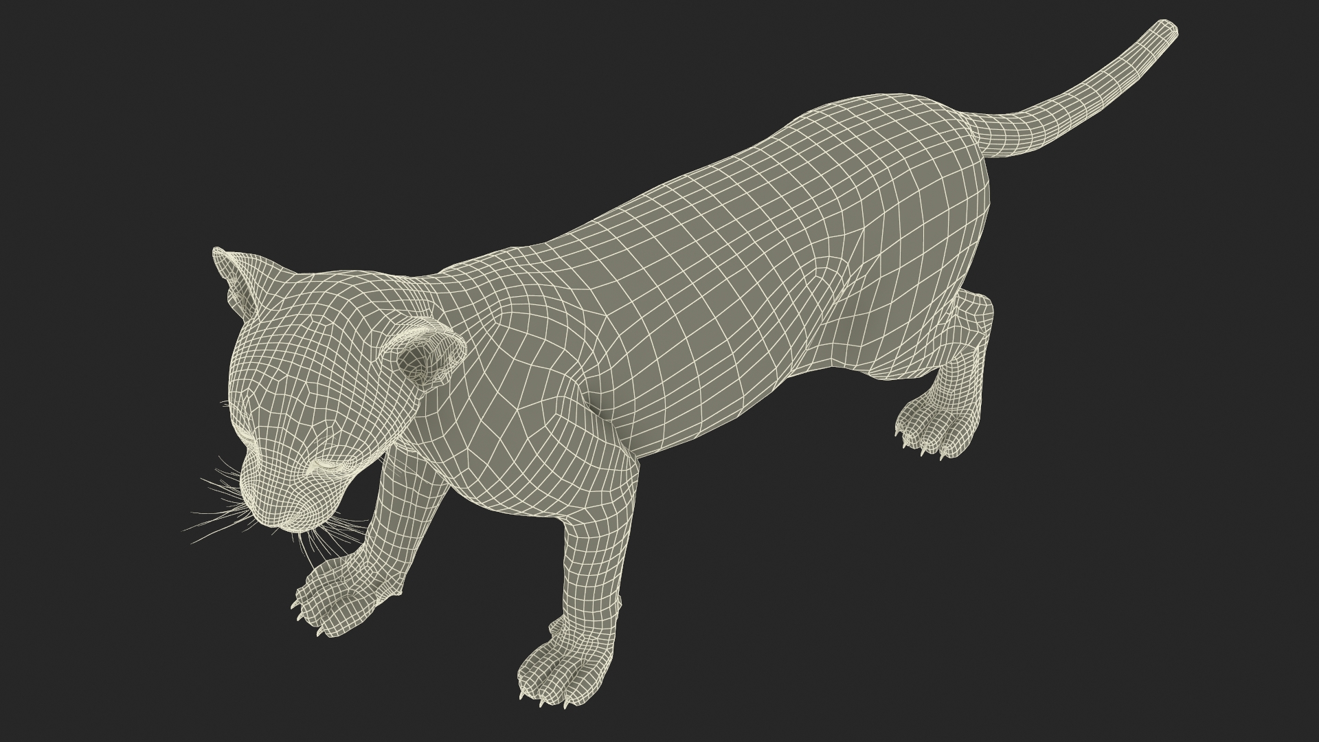 Baby Black Leopard Cub 3D