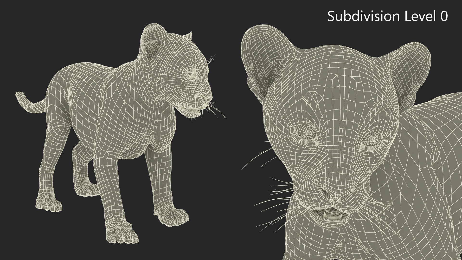 Baby Black Leopard Cub 3D