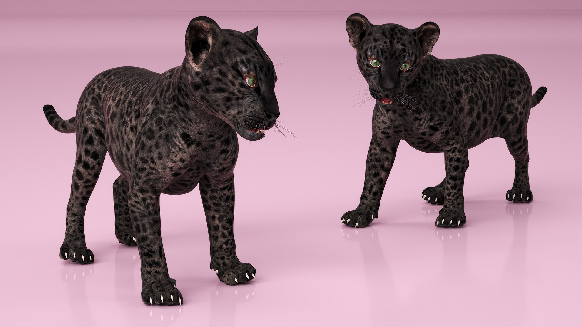 Baby Black Leopard Cub 3D