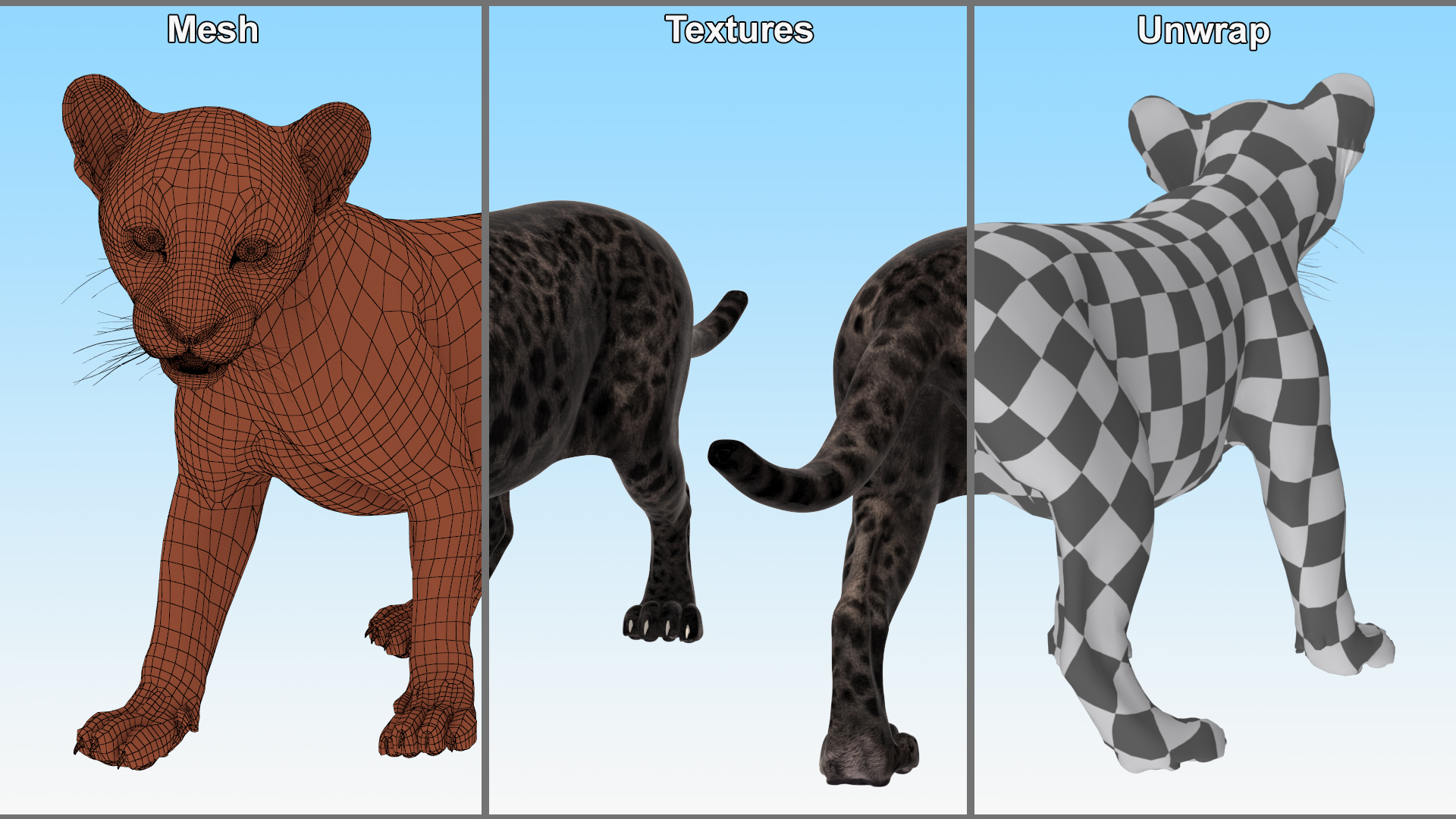 Baby Black Leopard Cub 3D
