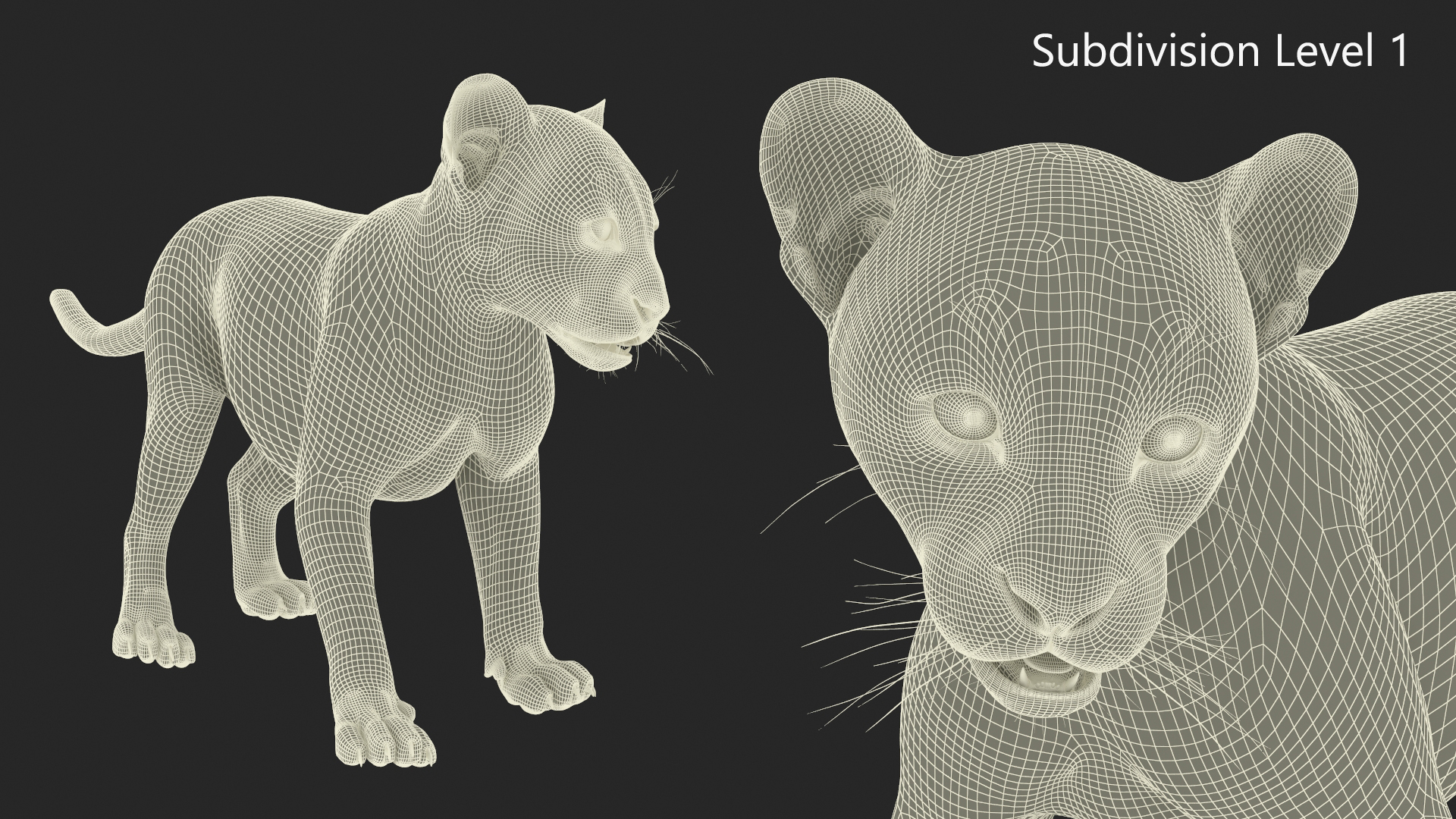 Baby Black Leopard Cub 3D