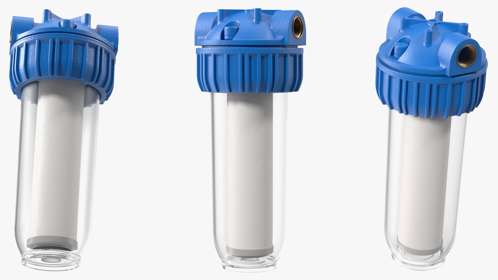 Transparent Water Filter Housing with Cartridge 3D