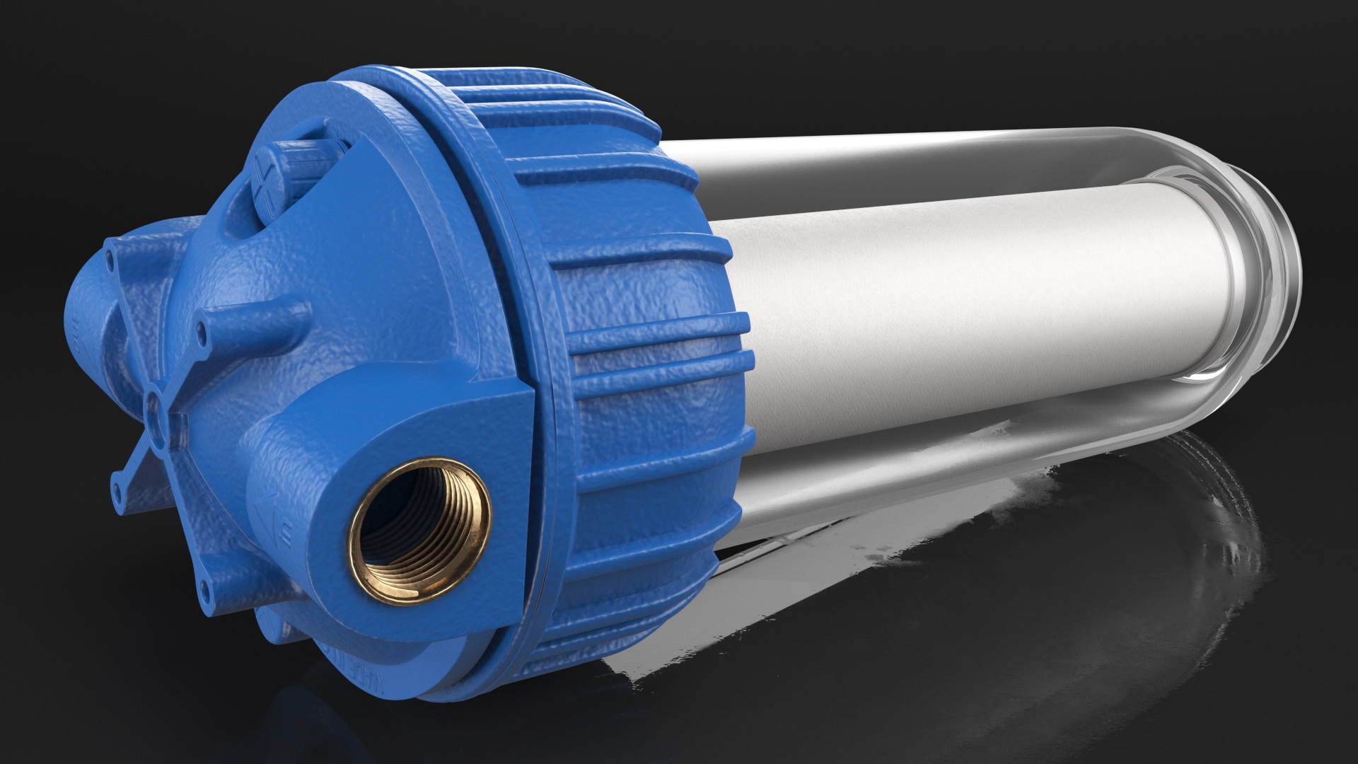 Transparent Water Filter Housing with Cartridge 3D