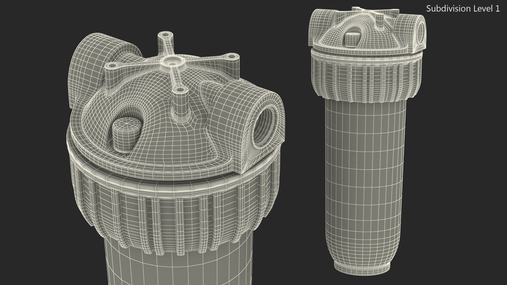 Transparent Water Filter Housing with Cartridge 3D