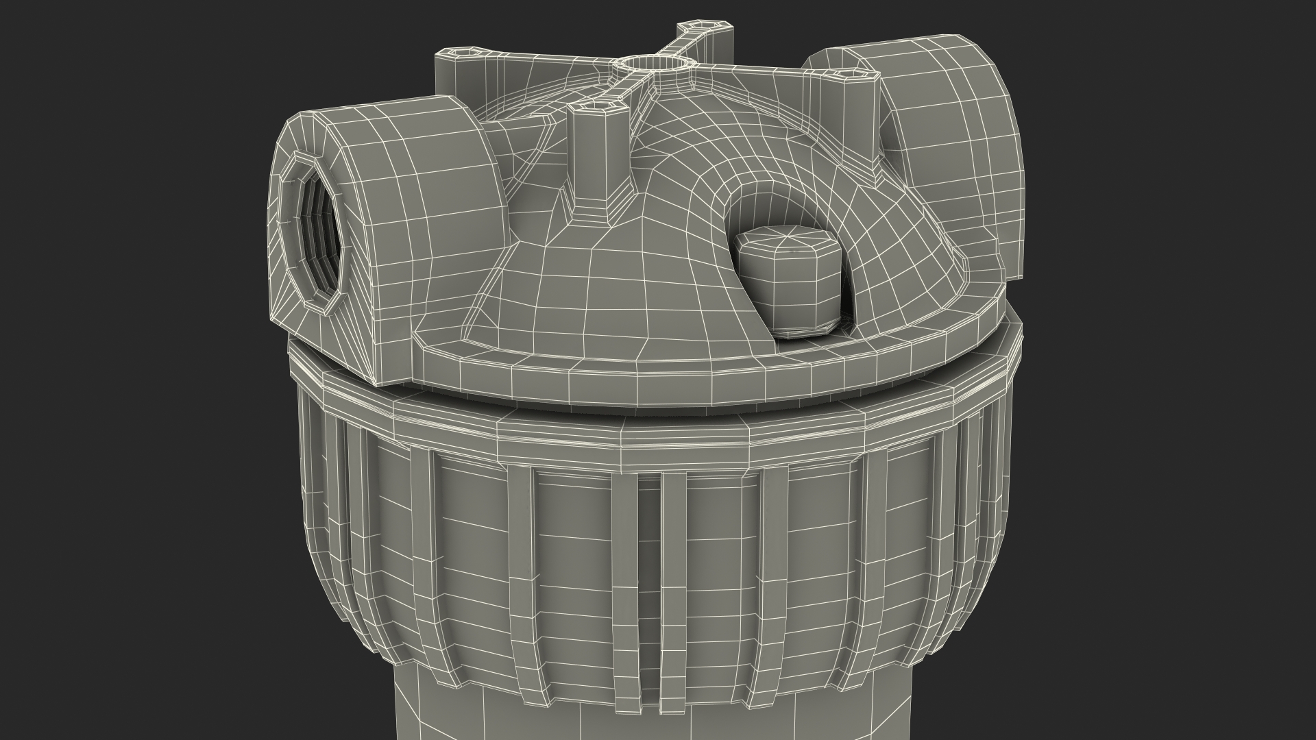 Transparent Water Filter Housing with Cartridge 3D