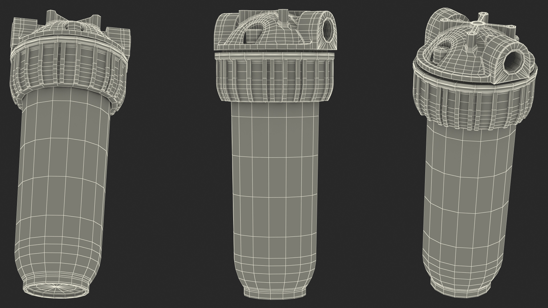 Transparent Water Filter Housing with Cartridge 3D