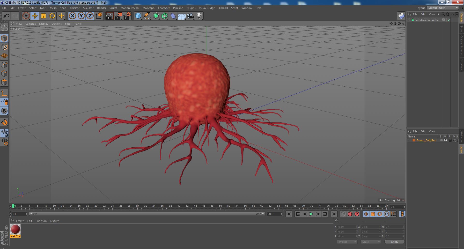 Tumor Cell Red 3D model